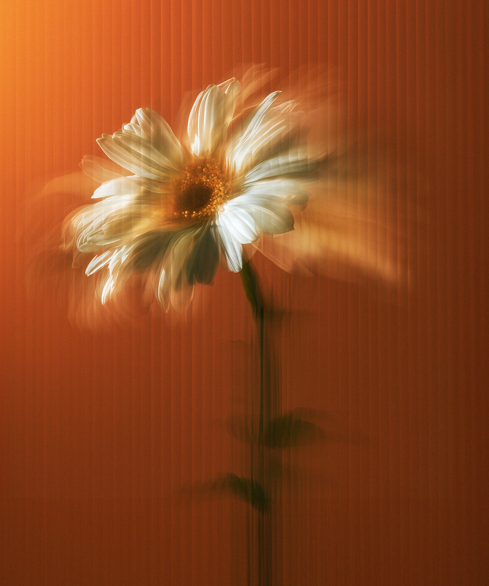 Core Mood Flower