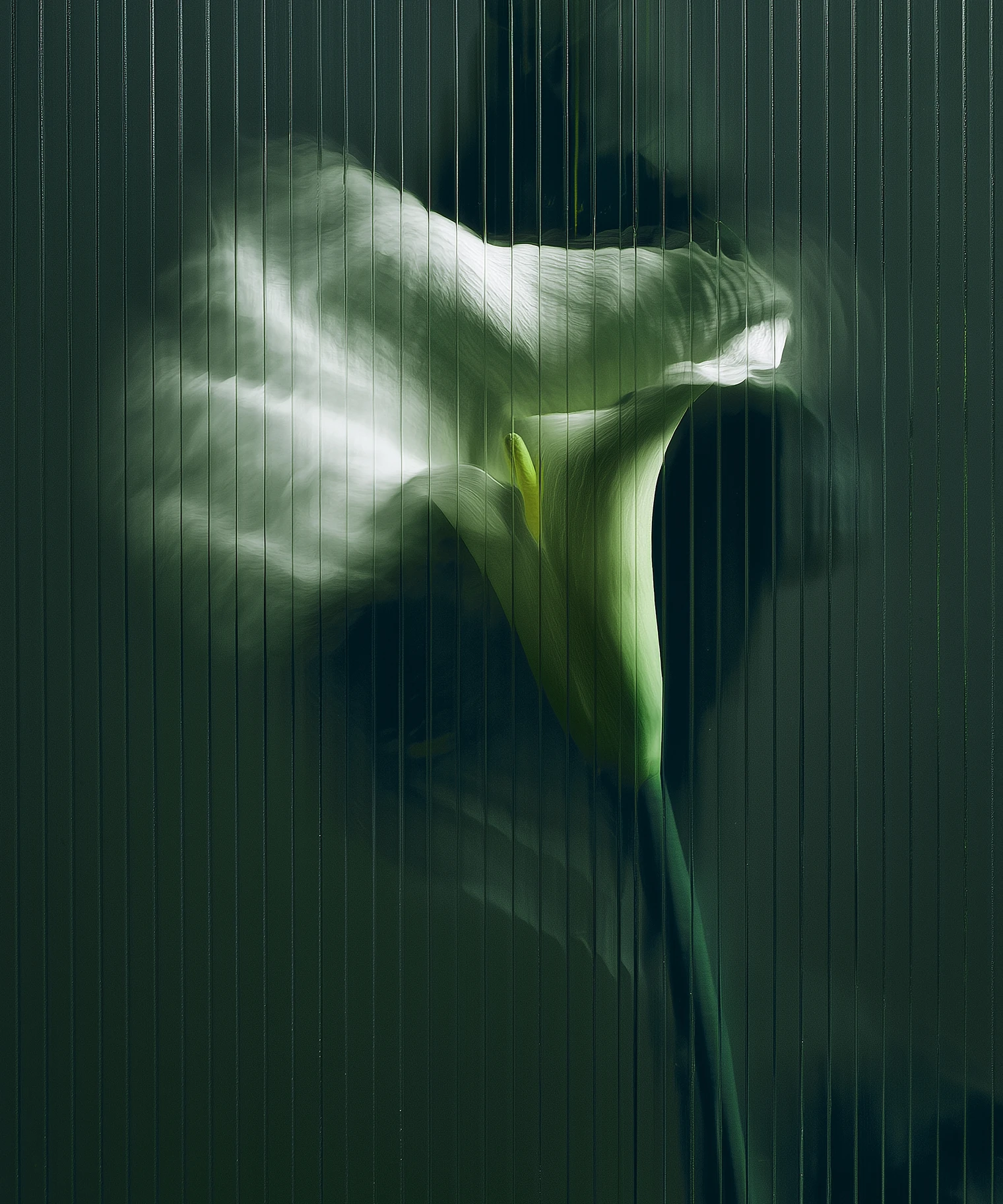 IX Mood Flower