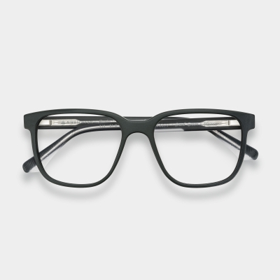 Visionär